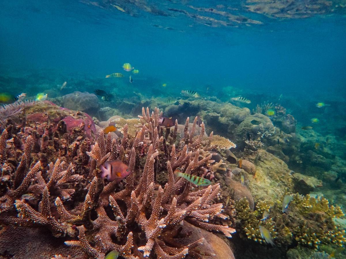 Raja Ampat Eco Lodge Tapokreng エクステリア 写真
