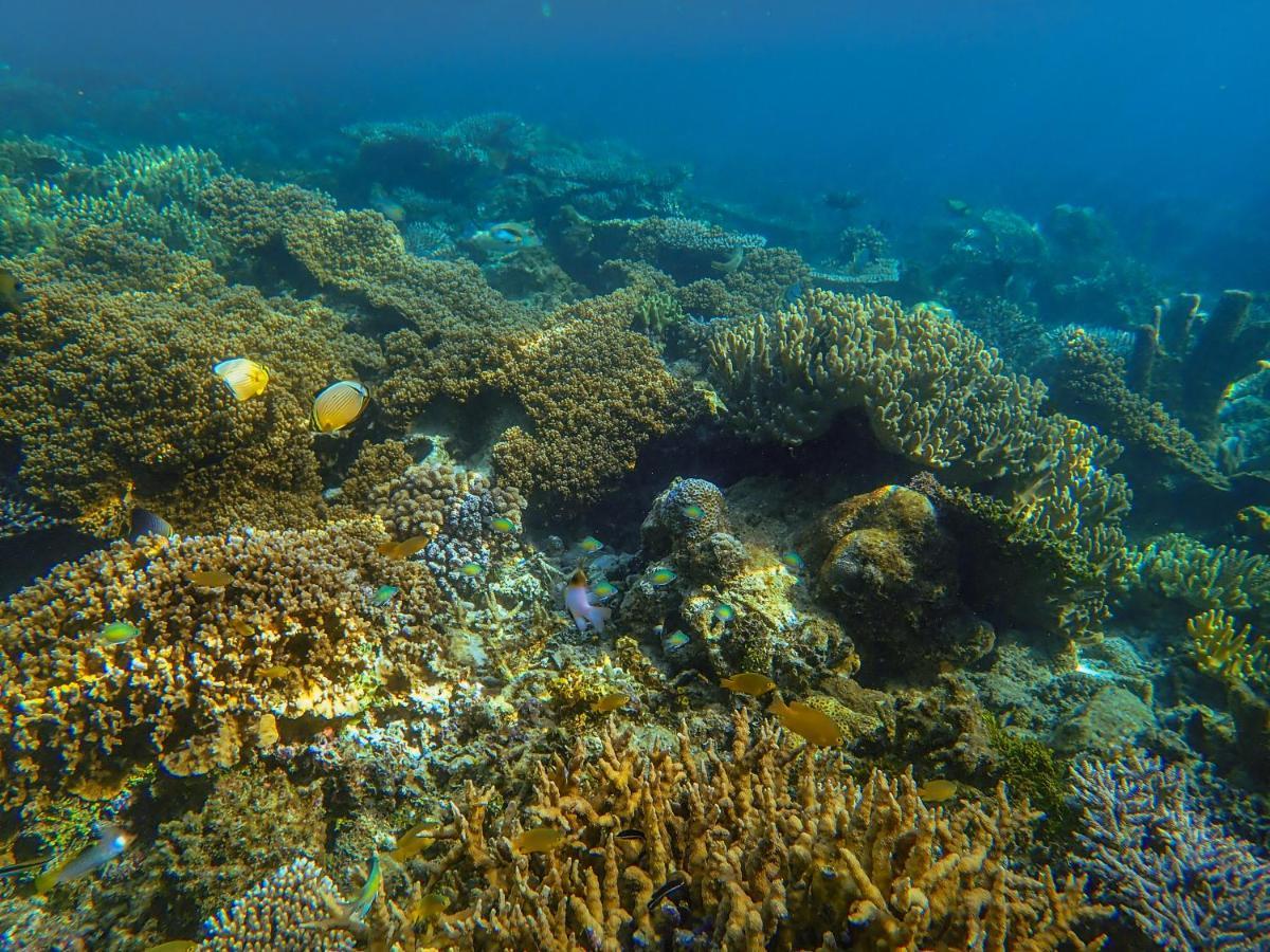 Raja Ampat Eco Lodge Tapokreng エクステリア 写真